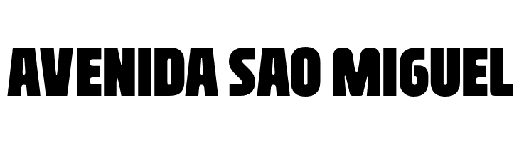 NasionalSans-Black  Free Fonts Download
