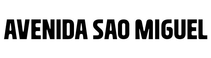 Nasional Sans Bold  Free Fonts Download