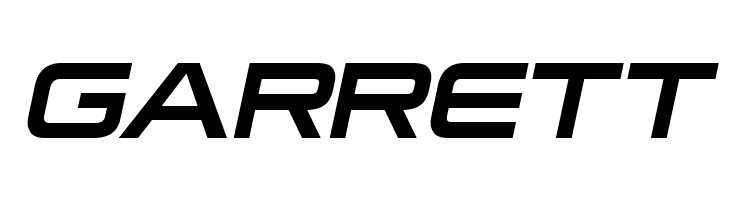 Neue Stance Bold Italic  Free Fonts Download