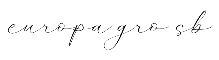 Klasynta Gelisha  Free Fonts Download