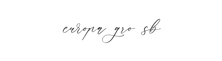 Parmidass Elarista  Free Fonts Download