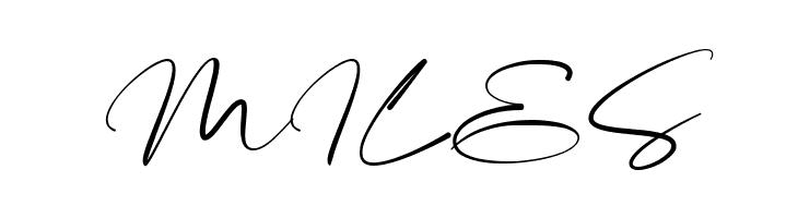 Highes Signature  Free Fonts Download
