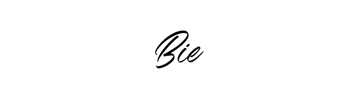 Black Shine  Free Fonts Download
