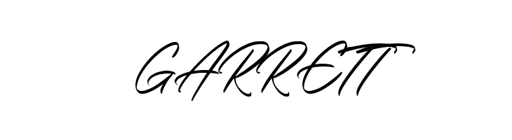 Black Shine  Free Fonts Download