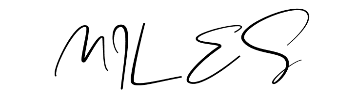 South Castle  Free Fonts Download