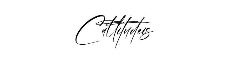 Bermingham Diamond  Free Fonts Download