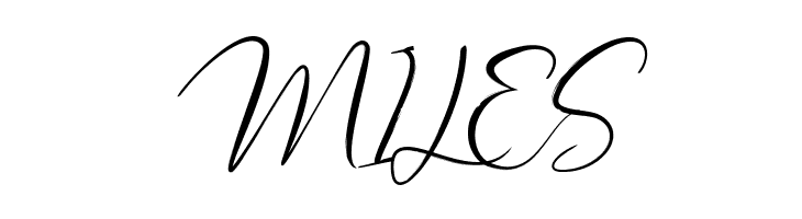 New Smashter  Free Fonts Download