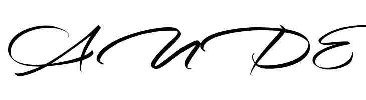 RidenationFreePersonalUse-Scrip  Free Fonts Download