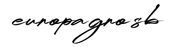 RidenationFreePersonalUse-Scrip  Free Fonts Download