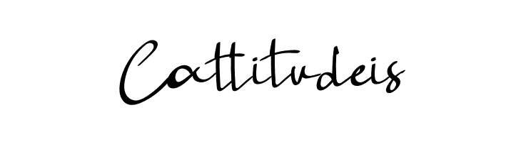 Photograpy  Free Fonts Download