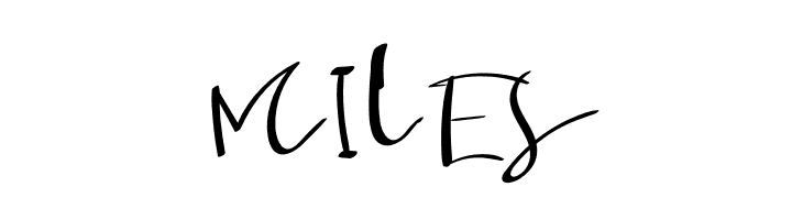 Photograpy  Free Fonts Download