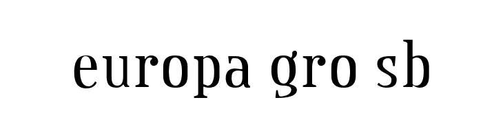 Credit Valley  Free Fonts Download