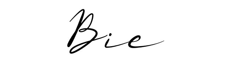 Shoul  Free Fonts Download