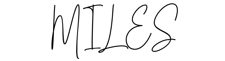 Silver Notes Demo  Free Fonts Download