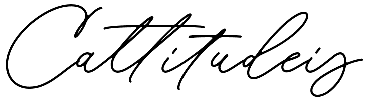 Aomine  Free Fonts Download