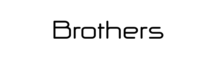 NP Naipol All in One Bold  Free Fonts Download