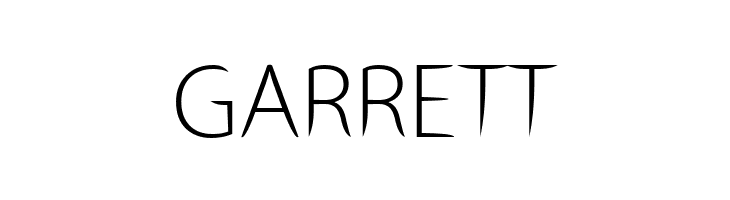 Stewart Sans  Free Fonts Download