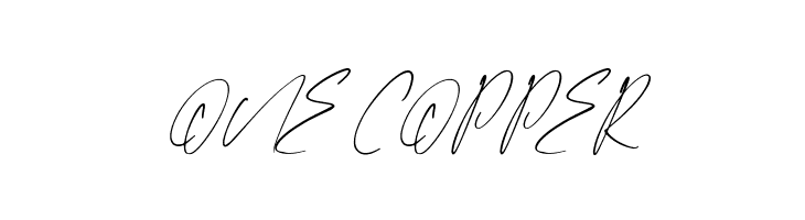 Faloney Script  Free Fonts Download