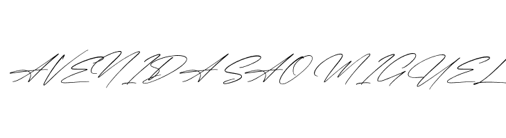 Qalisha Signature Script Italic  Free Fonts Download