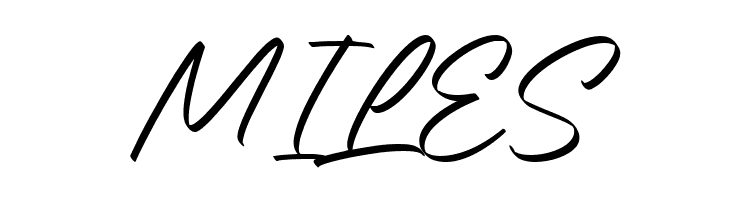 Breaking Road Regular  Free Fonts Download