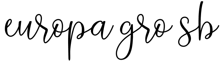 Montysse Demo  Free Fonts Download