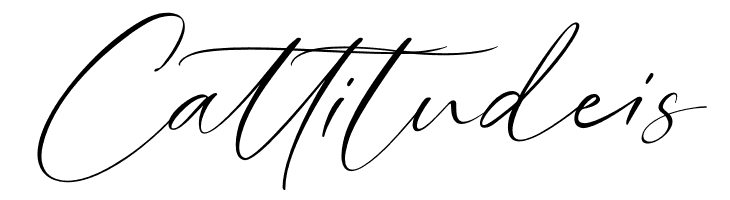 Lovely Script  Free Fonts Download