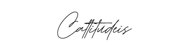 Manchester Regular  Free Fonts Download