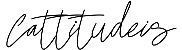 Master Class  Free Fonts Download