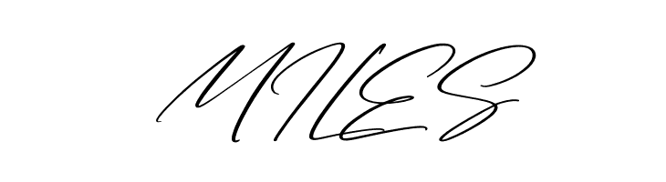 Arolse Belmonteria Script Italic  Free Fonts Download