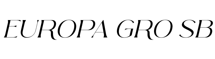 Arolse Belmonteria Serif Italic  Free Fonts Download