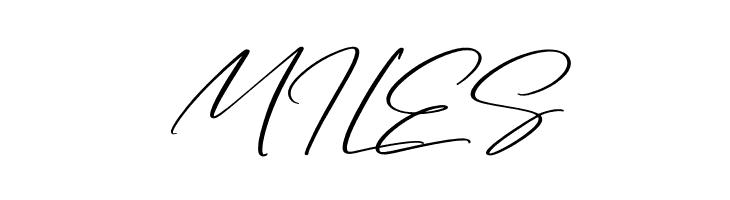 Arolse Belmonteria Script  Free Fonts Download