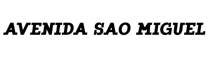 ZF2334 Slab Serif Black Italic  Free Fonts Download