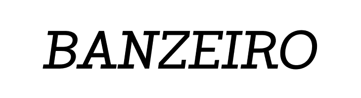 ZF2334 Slab Serif Italic  Free Fonts Download