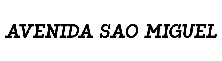 ZF2334 Slab Serif Bold Italic  Free Fonts Download