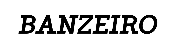 ZF2334 Slab Serif Bold Italic  Free Fonts Download