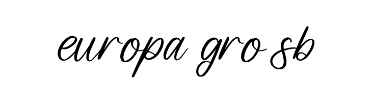 Leandro Daniel  Free Fonts Download