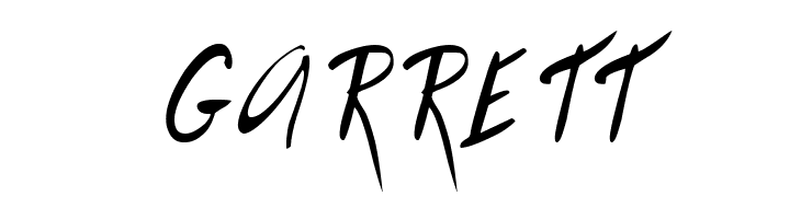 VS1  Free Fonts Download