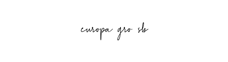 Agustine Signature  Free Fonts Download