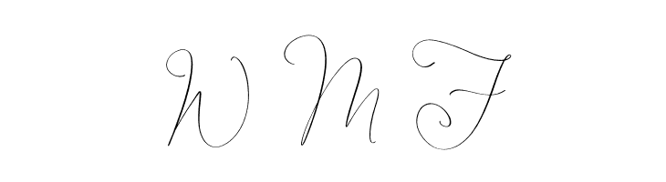Senorytta  Free Fonts Download