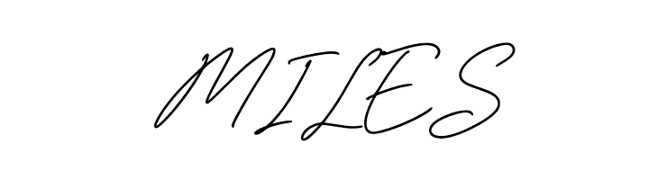 Amibata  Free Fonts Download