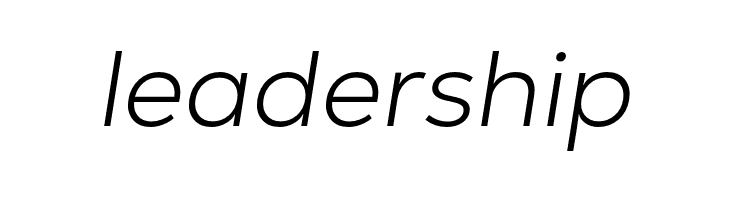 GT Vice City Sans - Light Italic  Free Fonts Download