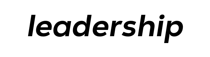 GT Vice City Sans - Bold Italic  Free Fonts Download