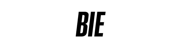 GT Proelium Italic  Free Fonts Download