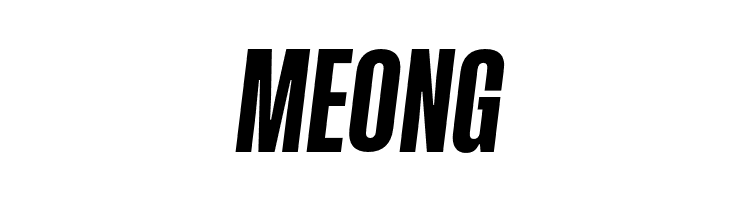 GT Proelium Italic  Free Fonts Download