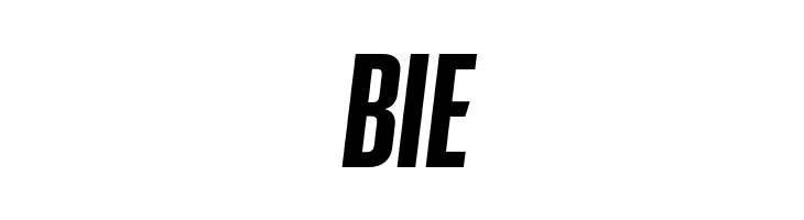 GT Proelium Sharp Italic  Free Fonts Download