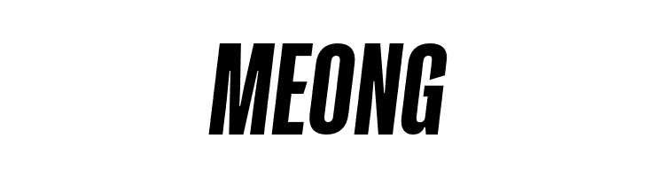 GT Proelium Sharp Italic  Free Fonts Download