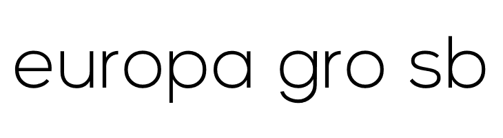 Vice City Sans Light  Free Fonts Download