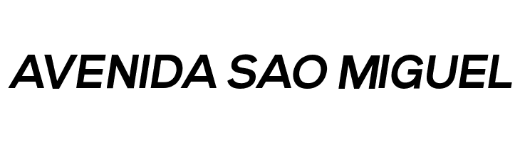 Vice City Sans Italic Bold  Free Fonts Download