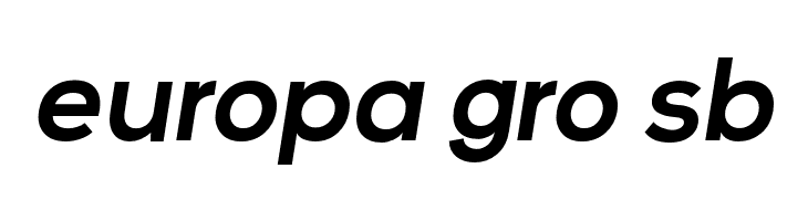 Vice City Sans Italic Bold  Free Fonts Download
