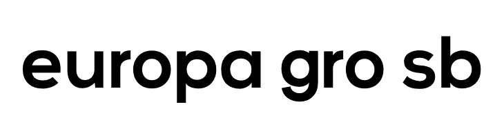 Vice City Sans Bold  Free Fonts Download